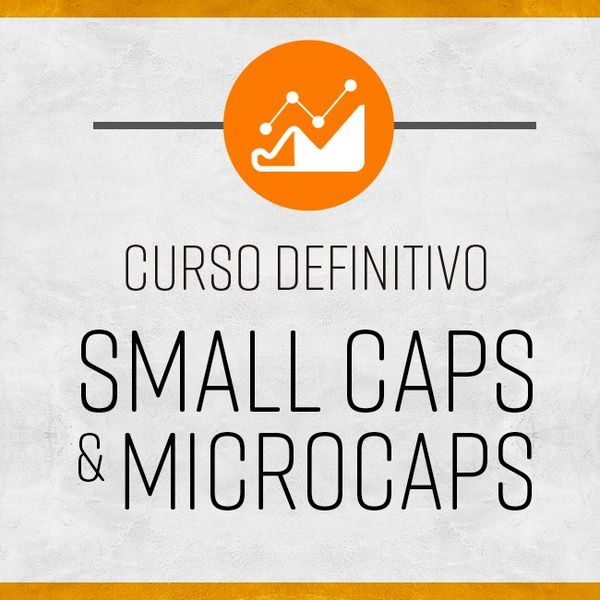 Vicente Guimarães - Como Investir em Small Caps