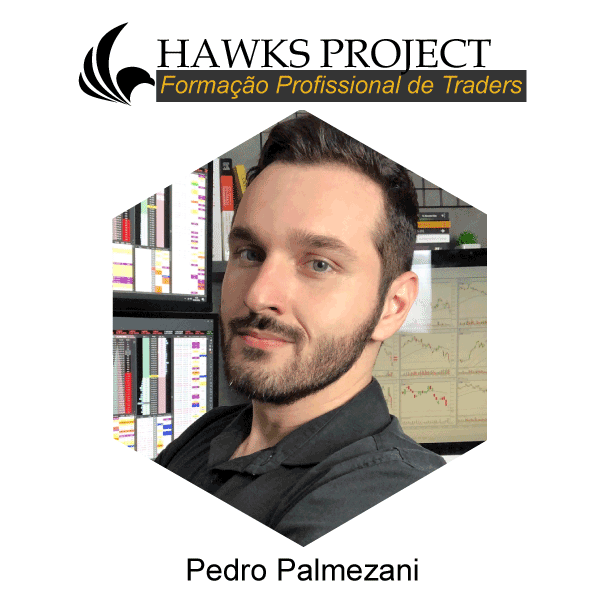 Pedro Palmezani - Hawks Project
